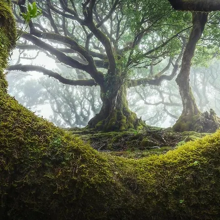 Apartment Rodrigues House - Private Jacuzzi Calheta (Madeira)